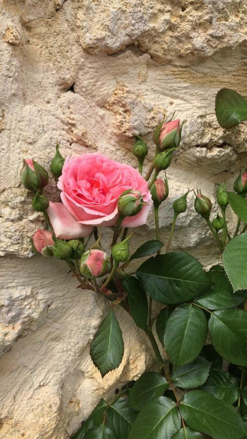 Fsp Chateau Julie Virsac 外观 照片